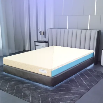 Grid SpineX PRO | Off-White