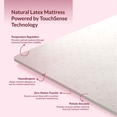 MoodPlay Plus | Maroon