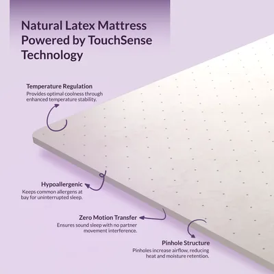 MoodPlay PRO | Lavender